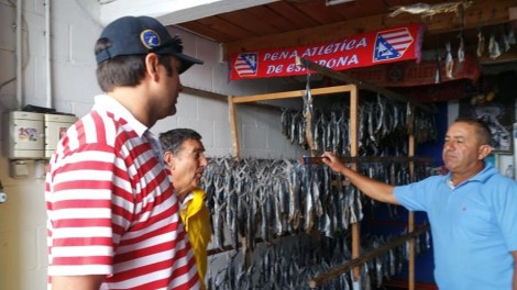 VOLAORES ESTEPONA ESPETO SARDINAS MARBELLA MALAGA COSTA DEL SOL UNESCO (1)
