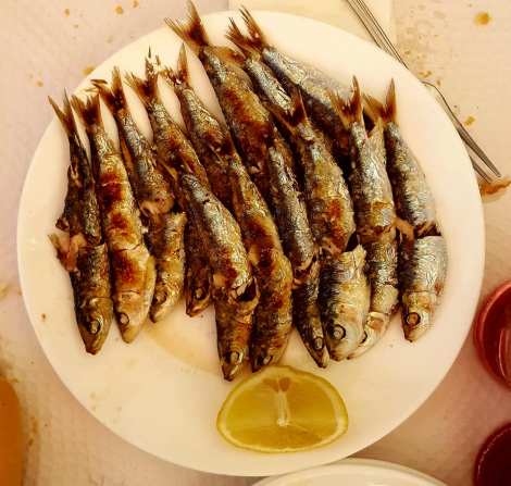 VOLAORES ESTEPONA ESPETO SARDINAS MARBELLA MALAGA COSTA DEL SOL UNESCO (7)