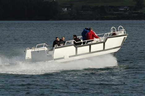 tender moggaro Flying Clipper