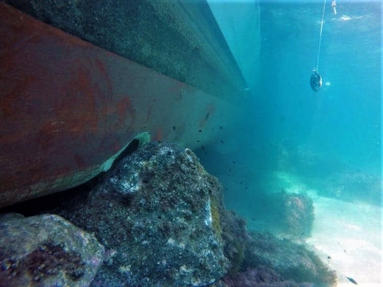 cazaminas mcm turia m34 foro naval (14)