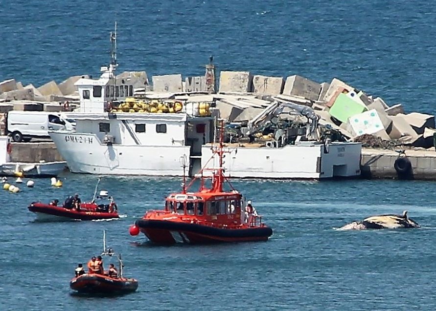 SALVAMENTO MARITIMO ESPAÑA FORO NAVAL (9)